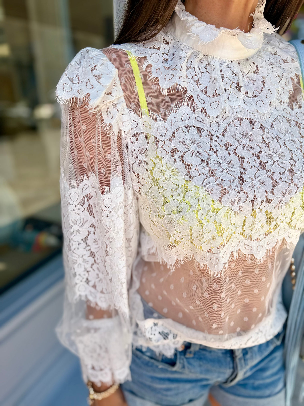 Nicole Sheer Lace Blouse