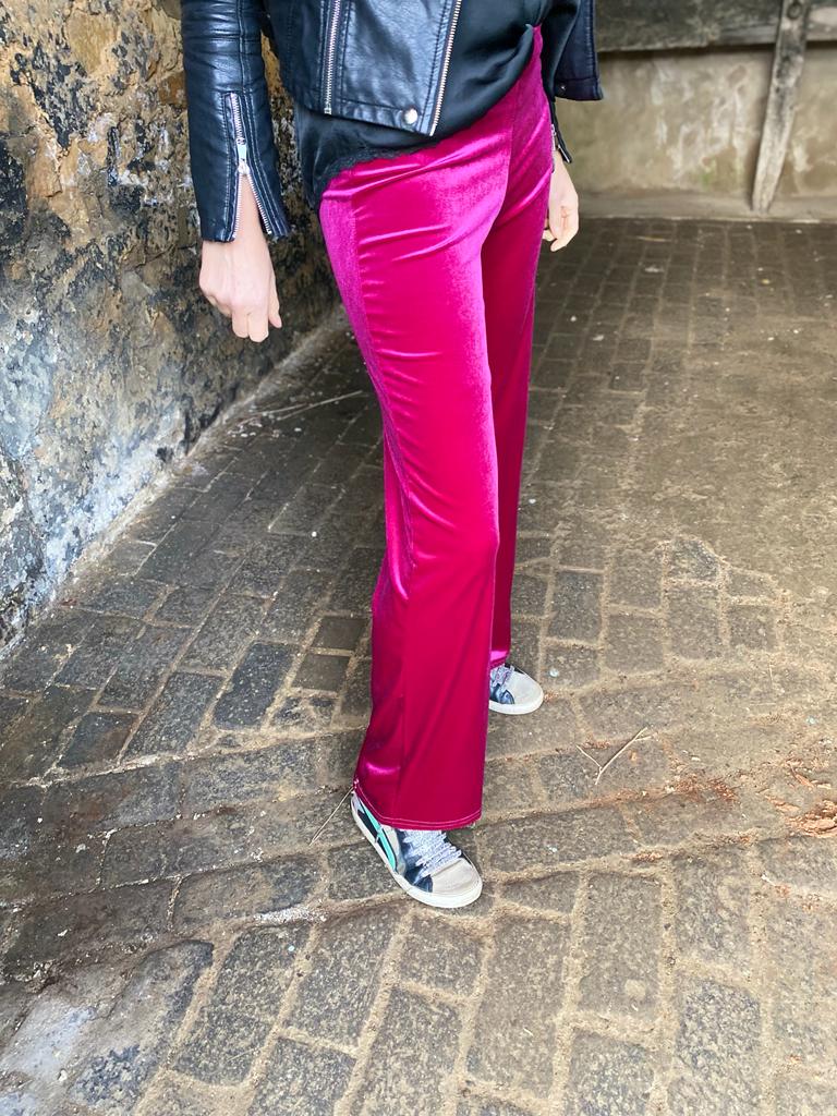 Jessica Velvet Pant Magenta